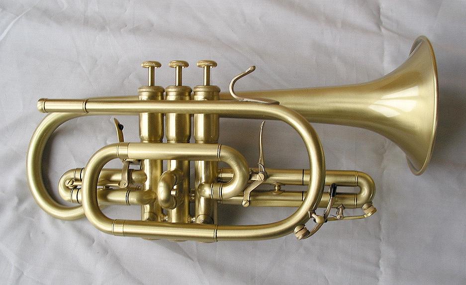 Wild thing trumpet cheap
